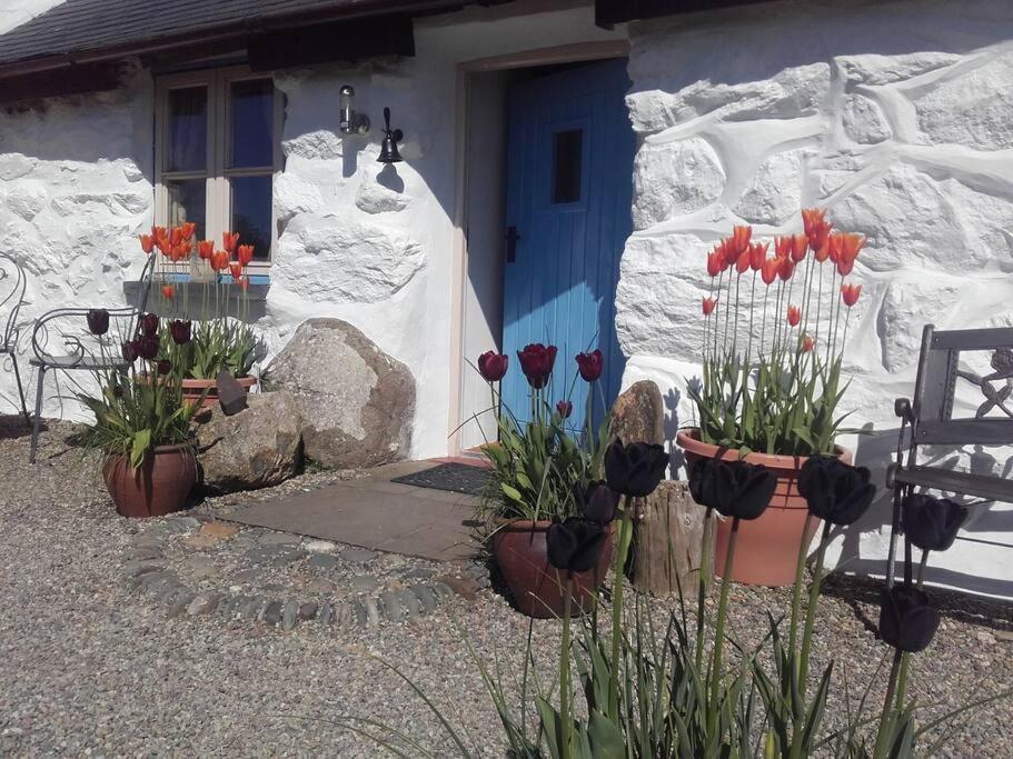 Traditional Stone Cottage With Sea Views In Snowdonia National Park Brynkir Zewnętrze zdjęcie