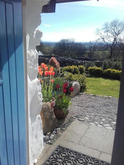 Traditional Stone Cottage With Sea Views In Snowdonia National Park Brynkir Zewnętrze zdjęcie